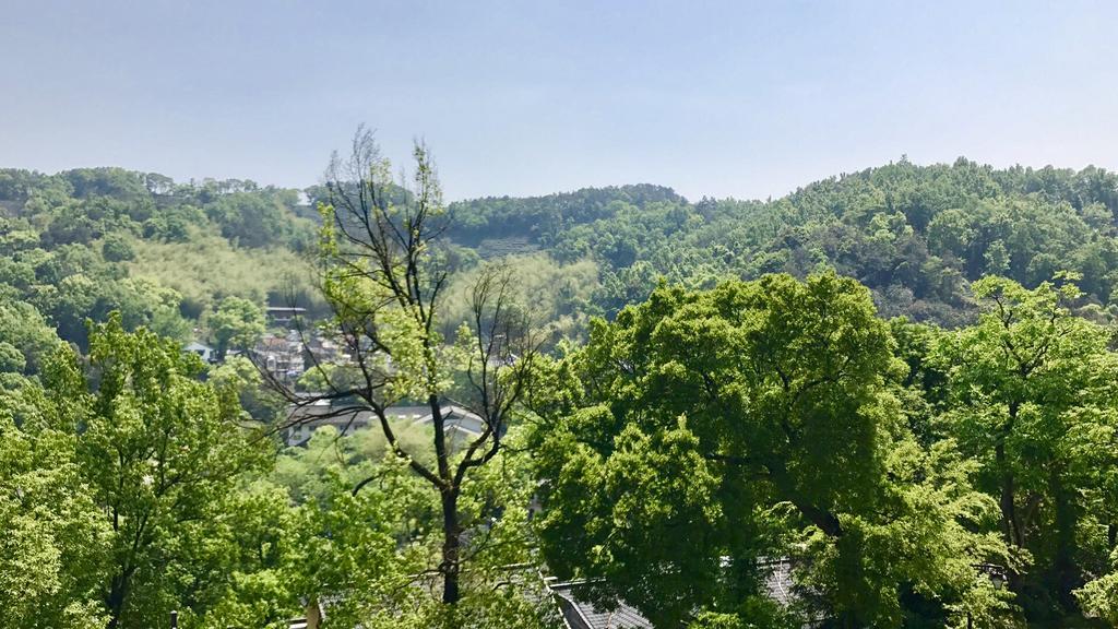 Hangzhou Puyu Travelling With Hotel Esterno foto